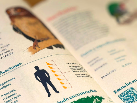 Libro "Las Aves de Mi Tierra"