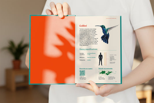 Person holding "Las Aves de Mi Tierra" book open to a page with a colorful illustration of a hummingbird endemic to the island of Puerto Rico and text.