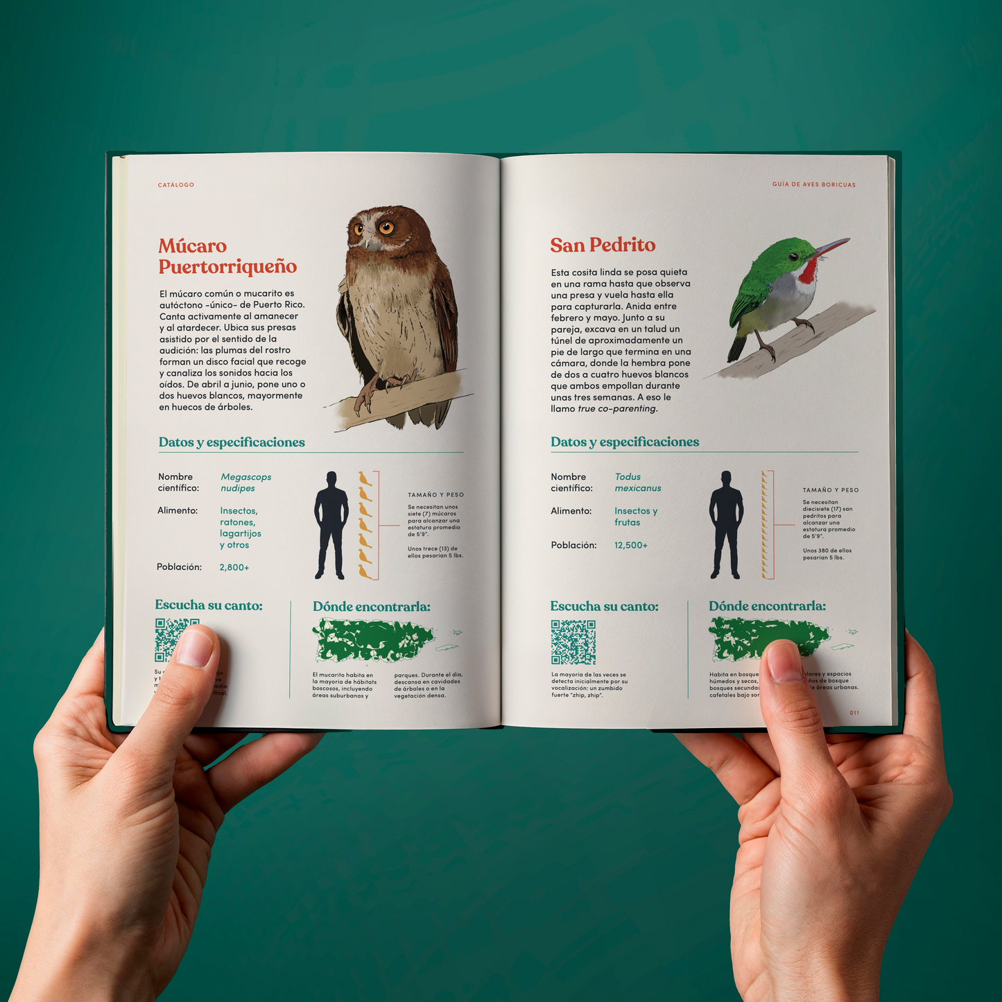 Libro "Las Aves de Mi Tierra"